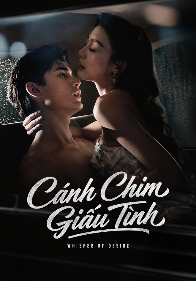 Xem phim Cánh Chim Giấu Tình