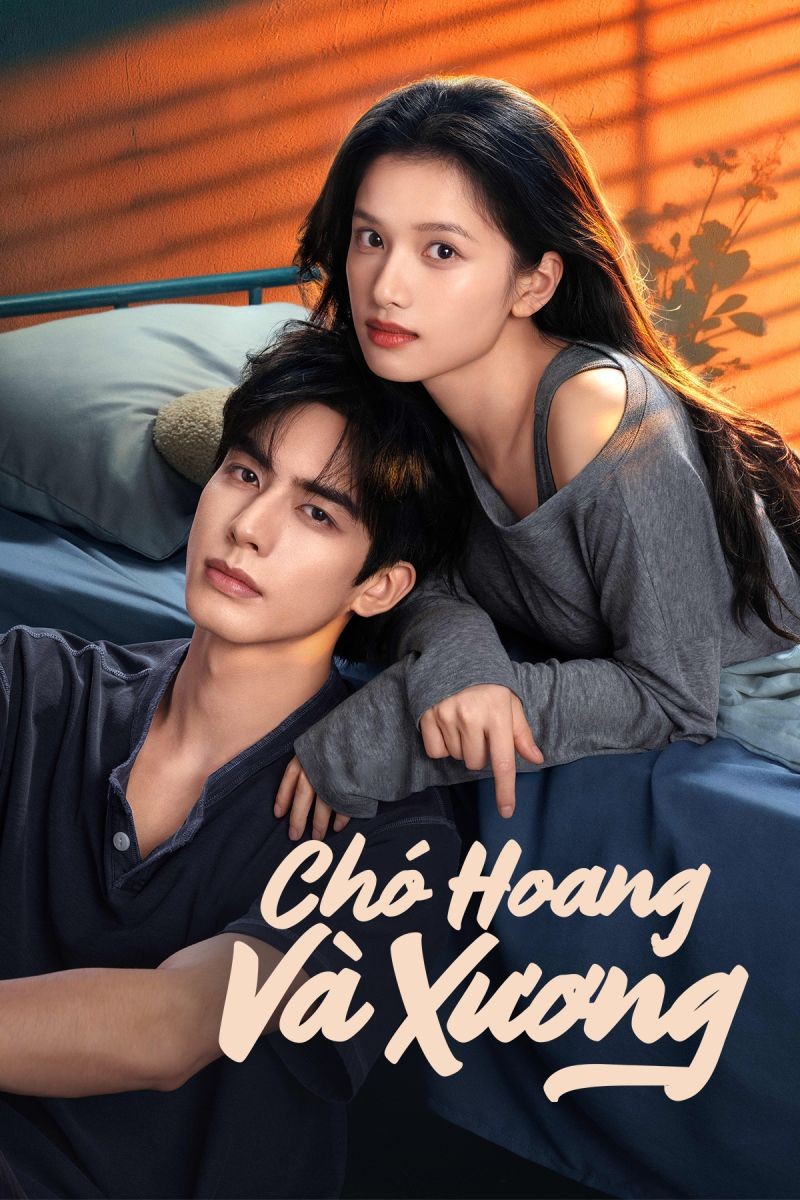 Xem phim Chó Hoang Và Xương (Thuyết Minh)
