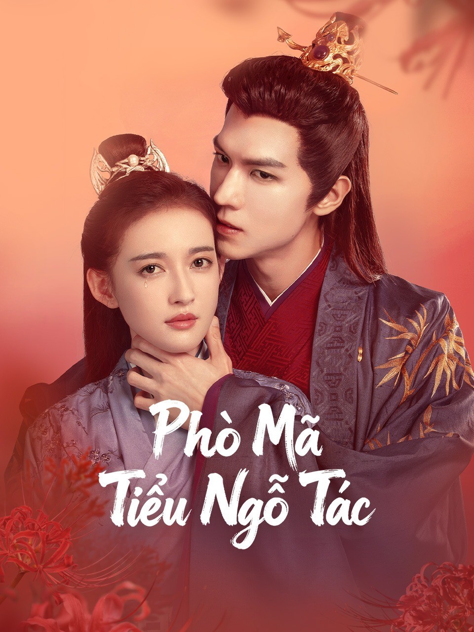 Xem phim Phò Mã Tiểu Ngỗ Tác